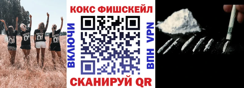 Купить закладки  Тулун  Кокаин Fish Scale 