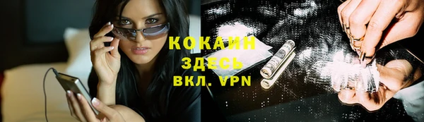 стафф Заводоуковск