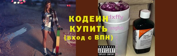 стафф Заводоуковск