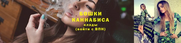 стафф Заводоуковск