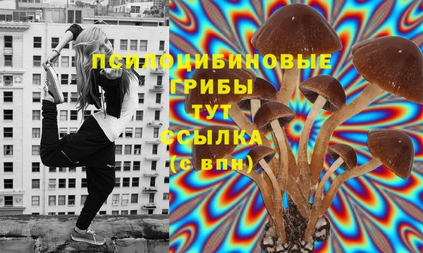 стафф Заводоуковск