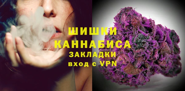 стафф Заводоуковск
