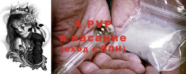 стафф Заводоуковск