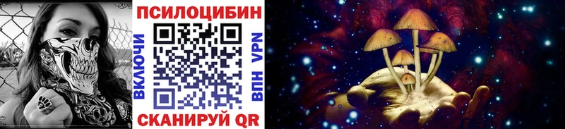 Купить закладки  Тулун  Галлюциногенные грибы ЛСД 